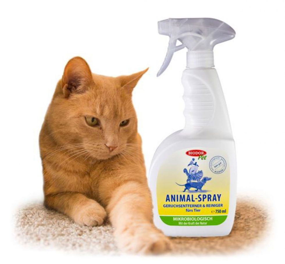 Biodor kisállat spray - Image 2