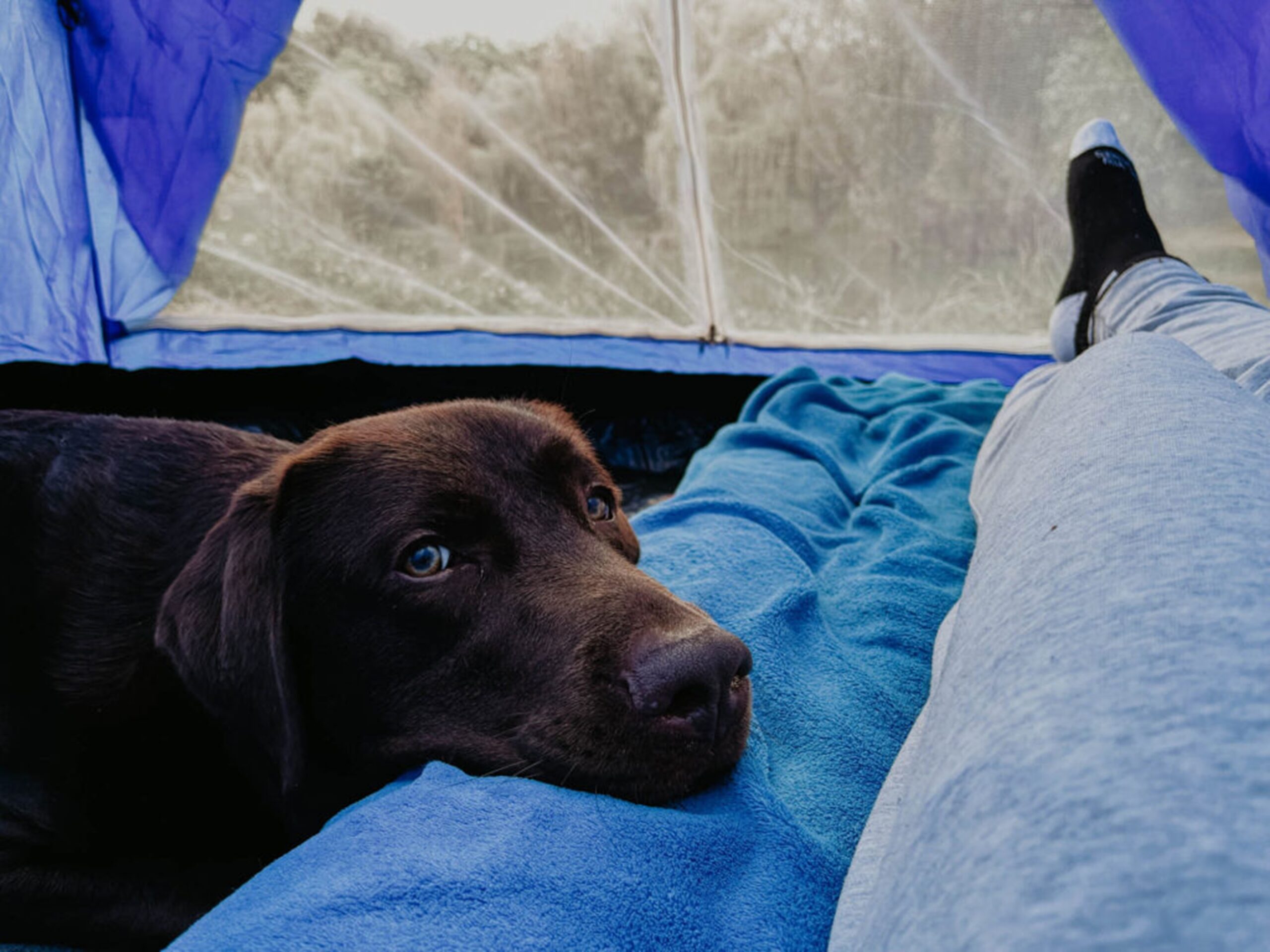 Hogyan Hozhatja Ki A Legtöbbet Campingcard Acsi Kártyájából2.png